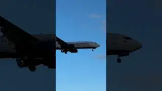 Споттинг в Шереметьево #shorts #planespotting #споттинг #aviation #шереметьево #belavia #landing