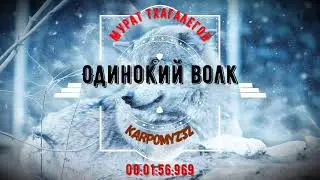 Мурат Тхагалегов Одинокий волк