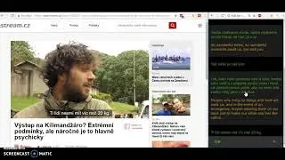 Demo remote translated subtitles