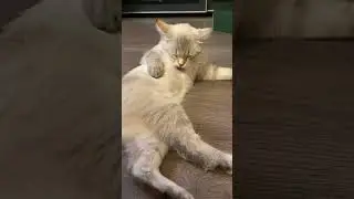 Как вам такой поворот😎