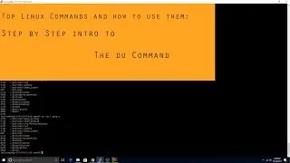 Top Linux Commands and How to Use Them: du Command