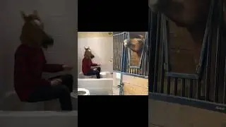 LET THE BODIES HIT THE FLOOR (feat. Head Banging Horse)