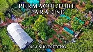 Inspirational Small-Scale Permaculture Homestead | Low Cost Self-Sufficiency on Less Than an Acre