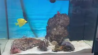 Море начинает бродить!
