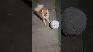 утренний мацион