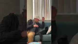 Cat song (Sometimes im alone, sometimes im not) | Famous tiktok cat song! 2023