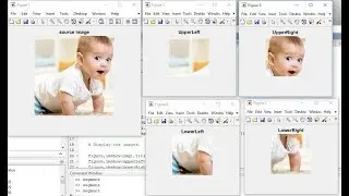 image crop | image segmentation |dividing an image into four parts | Digital image processing