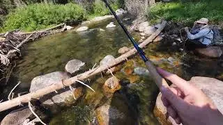Tenkara Fishing With Tom Davis & Matt Sment, I was fishing with the IceWING & Ragnarok 400 rods