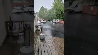 wet 