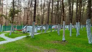 Геленджик 2021. ПАЛАТОЧНЫЙ КЕМПИНГ ДЛЯ ОТДЫХА. Голубая бухта