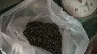 Так мы и не поняли, что это за чай. На рынках Китая его не встретили ни разу. Всё забываю спросить.
