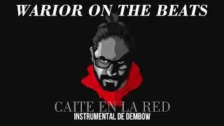 Caite En La Red  