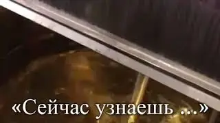 Новинки 2020