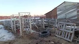 Нужен ли раскол?
