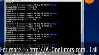 chmod command in UNIX