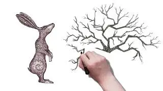 After Effects Whiteboard Animation Tests 2018