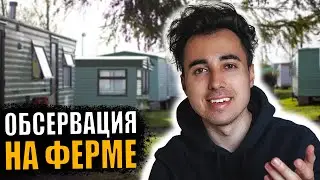 КАК ПРОХОДИТ ОБСЕРВАЦИЯ НА ФЕРМЕ 2021.