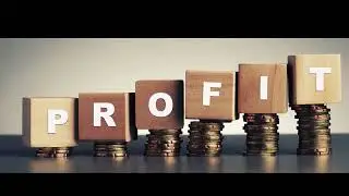 SIMPLE ILLUSTRATION OF THE TERM PROFIT