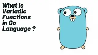What is Variadic Functions | Golang Tutorial |