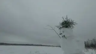 Снеговик 2020 - уходи!