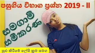 2019 O/L Mathematics  Vishy easy maths ගණිතය සමගාමී සමීකරණ  පසුගිය විභාග ගැටළු සාමාන්‍යපෙළ