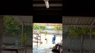 #raithudhanyamu #interiors #carpentry #lbnagar #hyderabad #work #organic #food #video #shorts #2022