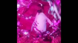 blago white -ТЫ ТУПАЯ ИЛИ ГЛУПЫЙ (YOU ARE DUMB OR STUPID) [ТЕКСТ] 2021