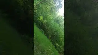 Бахор дар ш масква