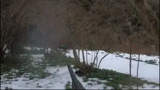 Domuz Avı (kaçan, bağıran, yaralı giden...)
