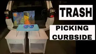 I WENT TRASH PICKING IN MY NEIGHBORHOOD!