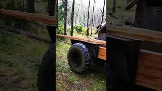 караван уходит в тайгу