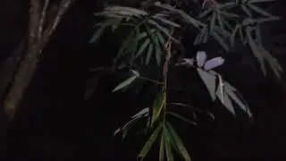 🔴LIVE MISTERI MALAM INI || MALAM SELASA KLIWON