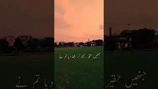 beautiful evening and nature