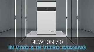 VILBER NEWTON 7.0 - In Vivo & In Vitro Imaging