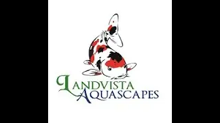 Walk Around @ Landvista Aquascapes