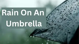 Rain ASMR Falling Rain on an Umbrella