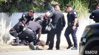 Santa Monica Beach Crisis: Police Subdue Man Threatening Lifeguard with Metal Rod