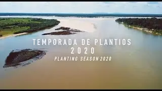 Temporada de Plantio 2020-2021 | Fundação Black Jaguar