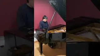 Shumann - Escenas de Niños Op 15. Nº 13. Habla el Poeta.