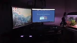 The Setup