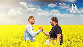 Rzepak Marvin i Despina - odmiany nie z tej ziemi 🚀 | Agrii Polska