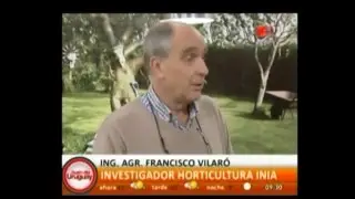 Francisco Vilaro en Buen Día Uruguay