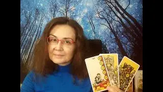 Введение в курс 