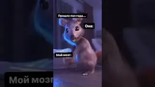 по другому не бывает? 😂 #приколы #приколы2024 #авто #ржака