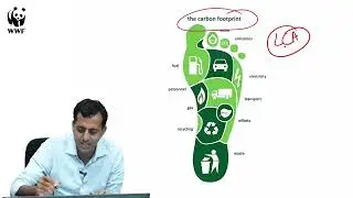 How Do You Measure Sustainability? | Become an Eco-Gamer | One Planet Academy