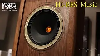 Greatest Audiophile Voices & Instrumental 24 bit - Natural Beat Records