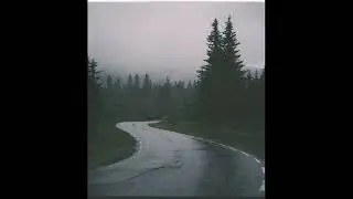 Bones type beat ~ What more can i say