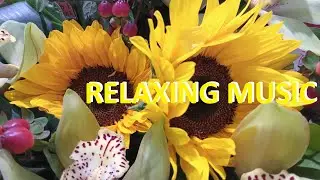 MUSIC FOR RELAXATION AND HEALTH 🌺 COLOR THERAPY #music #music #relax