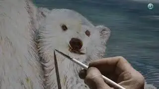 Polar bear family.