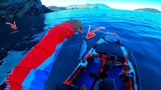 PEIXE LAMBARI NO MAR? | Pescaria de Caiaque.